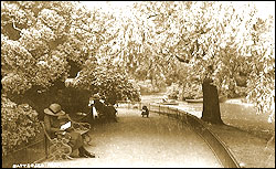 Battersea Park c1910
