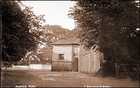 Avenue Farm, Cricklewood c1910