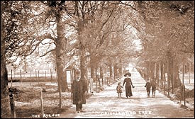 The Avenue, Cricklewood Lane 1910