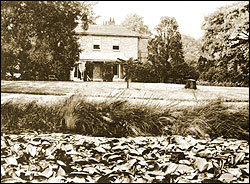 Dollis Hill House with Lily Pond