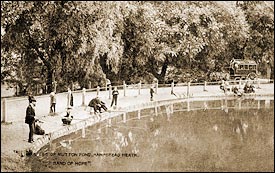 Leg of Mutton Pond 1911, Hampstead Heath