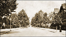 Fitzjohn's Avenue