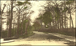 The Old Lane, Neasden