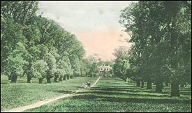 The Avenue Broomfield Park 1905