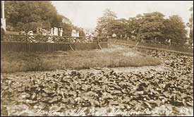 Gladstone Park Tea Gardens and Lily Pond 1914