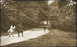 Hampstead Heath from Turners Firs 1946