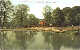 Leg of Mutton Pond Hampstead 1903