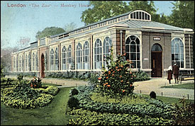 Regents Park Zoo 1908