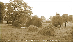 Oxgate Lane, Cricklewood