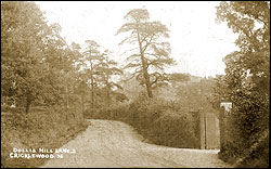 Dollis Hill Lane 1911