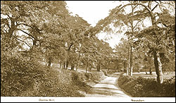 Dollis Hill Lane c1910