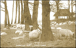 Gladstone Park, Dollis Hill c1910