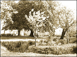 Dollis Hill House, Gladstone Park 25/4/1982