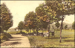 Gladstone Park, Dollis Hill c1910
