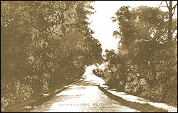 Dollis Hill Lane c1910