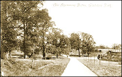 The Swimming Baths, Gladstone Park, Dollis Hill c1910