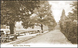 Squires Lane, Finchley
