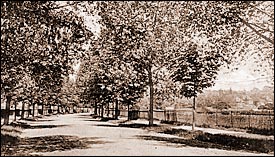Bishops Avenue, Finchley 1905