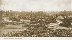 Roundwood Park 1905