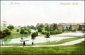 Hampstead Ponds