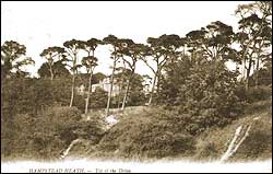 Top of the Drive, Hampstead Heath