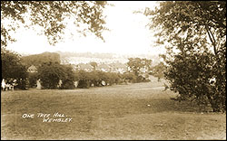 One Tree Hill, Wembley, 1935