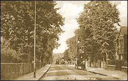 Church Road, Willesden, 1905