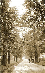 Twyford Abbey, Willesden. The Avenue. 1906