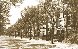 Park Avenue, Willesden c1910